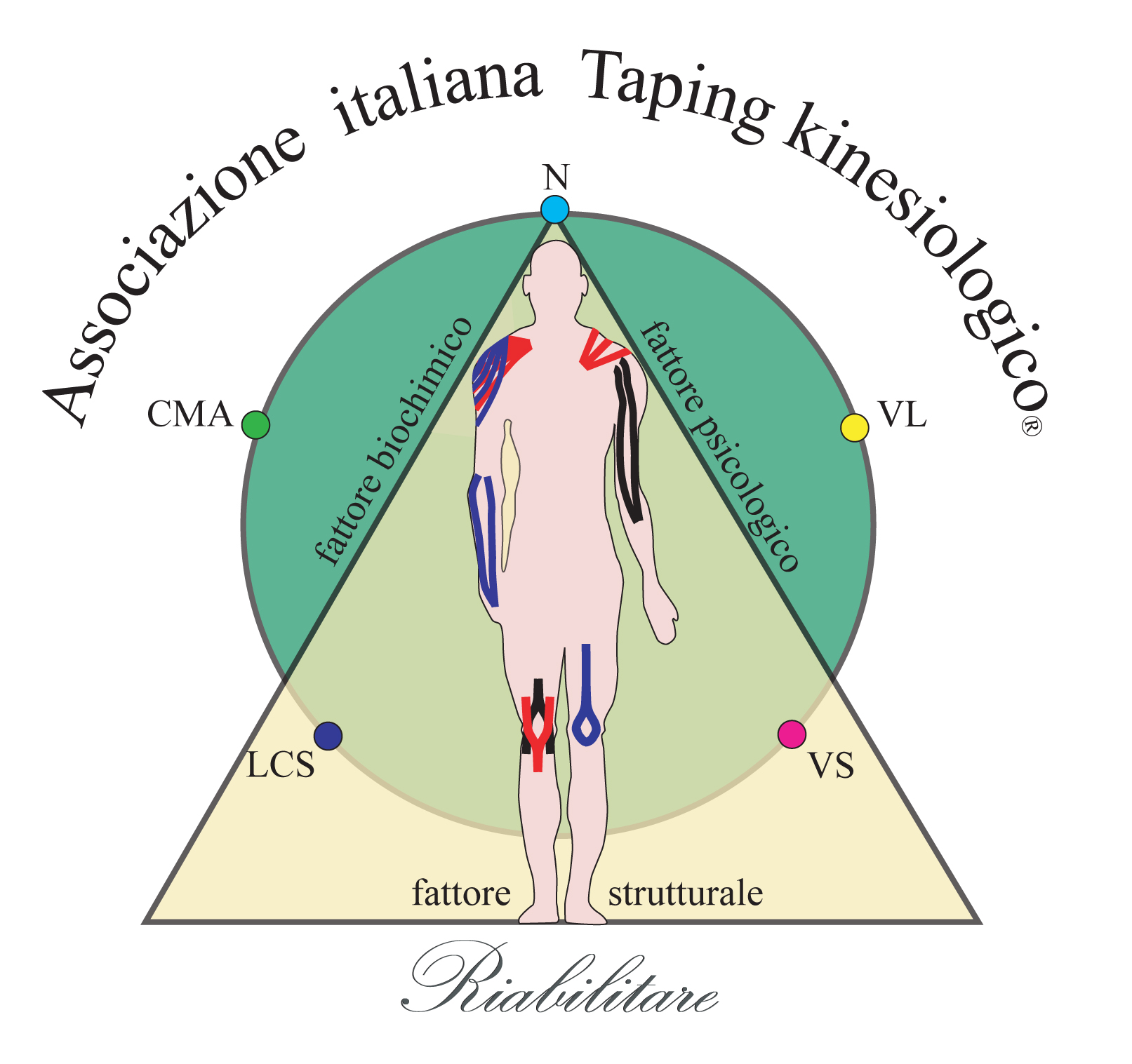 Taping Bellia System Integrato